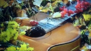 Незабудка домашняя -- Мыльный пузырь .ИНТЕЛЕГЕНЦИИ ...