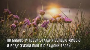 Ты напоил меня ключевою водою. Христианское караоке