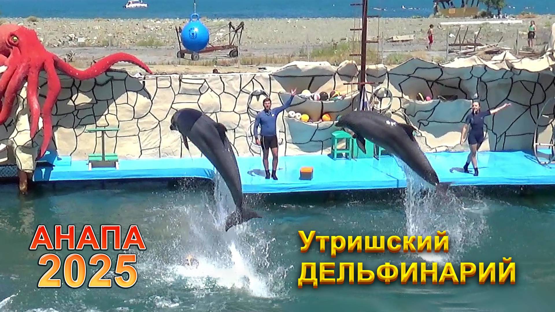 Дельфинарий в Анапе на Большом Утрише - 2025 смотреть онлайн