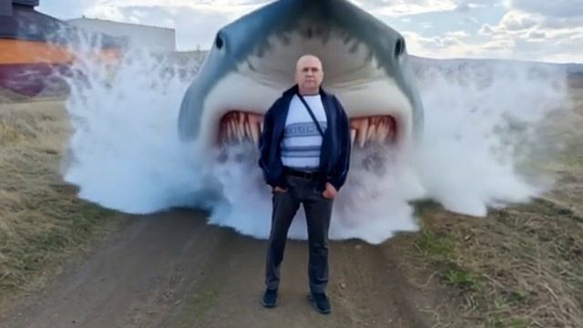 Акула.mp4 смотреть онлайн