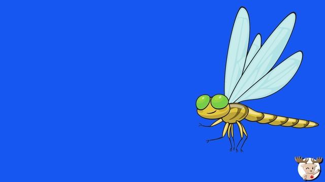 Learn Bugs Vocabulary ¦ Talking Flashcards