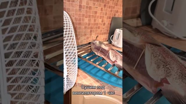 Коптим форель дома. Копченая форель рецепт