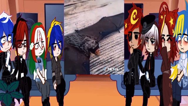 🌟РЕАКЦИЯ СТРАН НА СТАРЫЙ ТИК ТОК(1/5).🎀✨ #страны#гача#гачаклуб#подпишись#лайк