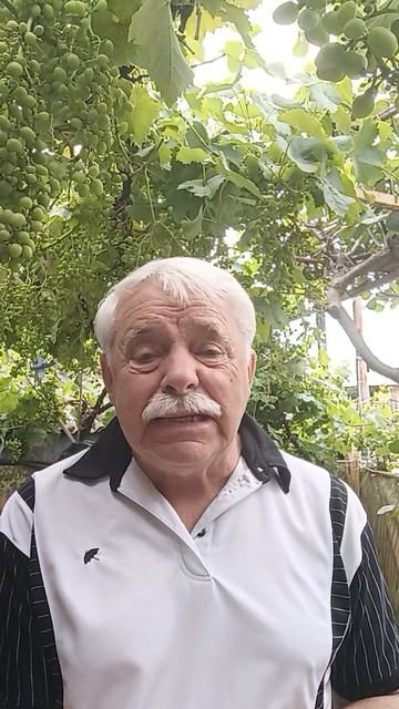 Перлы от St✭r ОГО⤵️, Про тех, кому до нас нет дела. Умные мысли