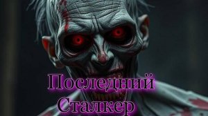Последний Сталкер.Схон Могильщика,Найти Дэтмэна !