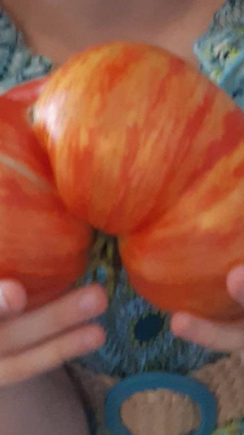 ОБЗОР СОРТА ТОМАТА ДЖАЗ ВОСХОД смотреть онлайн