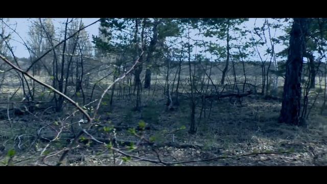ПРОБА Киношная 1 смотреть онлайн