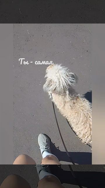 Прощальное видео для Луночки..)