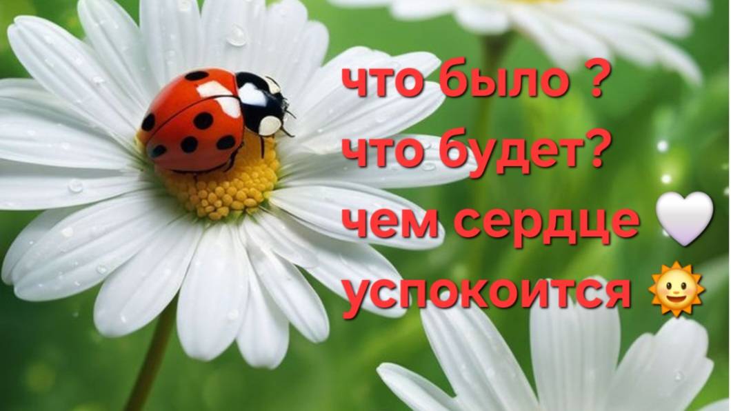 Что было ? что будет? чем сердце успокоится ? смотреть онлайн