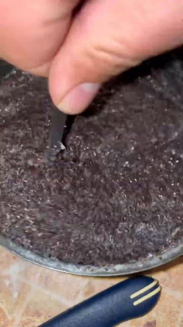 Булочки с маком | Улитки с маком