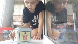 скрипышы магнитышы