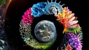 Неизвестная планета Земля 5 серия «Выживание» | NAT Geo