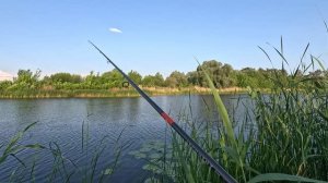 Рыбалка со спиннингом р. Усманка Воронеж