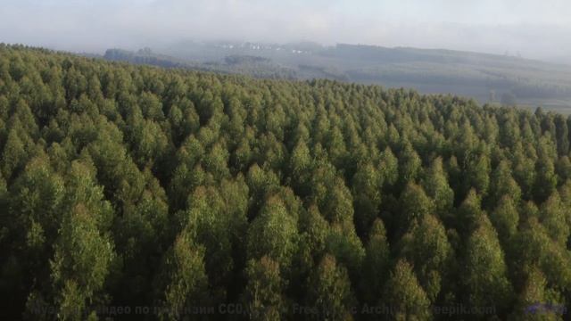 Не включай, если не готов к абсолютной гармонии - Unconscious -- Selfpity -- Unhappy Thoughts