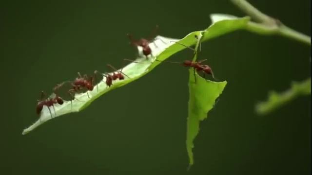 0000000000011 смотреть онлайн