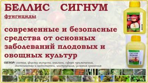 Беллис и Сигнум - современные безопасные средства от основных болезней
плодовых и овощных культур