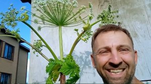 ...пока идут дожди...часть вторая