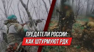 РДК — предатели, а не воины | Инструктор смотрит