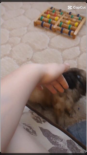 я научился монтировать!!!! (=