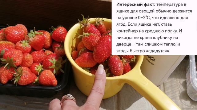Как сохранить клубнику? Второй сбор ягод с нашей дачи