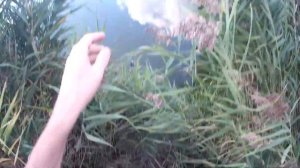 Легкий джиг на пруду/судак и окунь на съедобную резину.