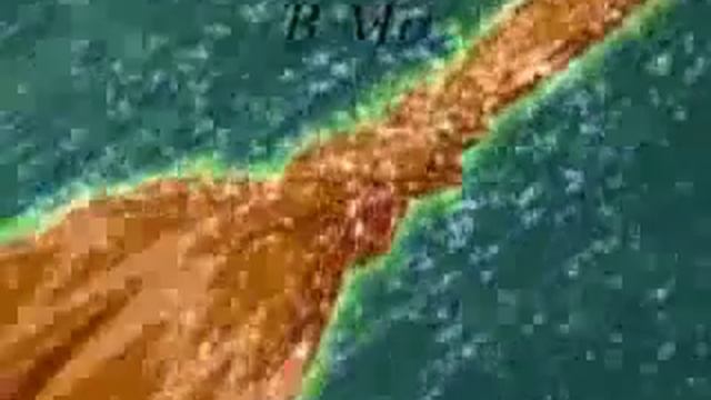 Винкс и Ранетки смотреть онлайн