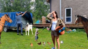 Жизнь в лесном селе. Разбираем гнилой пол в новом доме. Начинаем работать над лестницей на 2 этаж