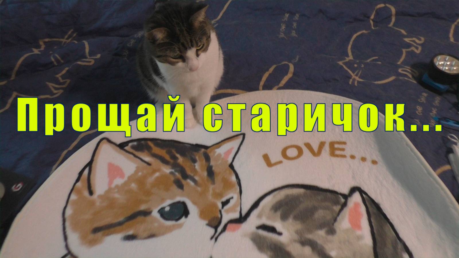 ТРИША УШЕЛ НА РАДУГУ/ РАНЕВСКАЯ/ СПЕКТАКЛЬ ОГОНЬ /19 и 20 и 21 июня 2025 смотреть онлайн