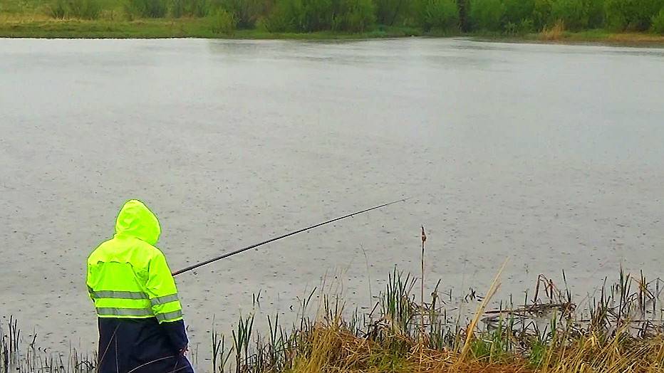 ВЕСЬ ПРОМОК,А КОНИ КЛЮЮТ И КЛЮЮТ!!! ДАЖЕ ОТОБРАЛИ РЫБУ!!!