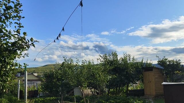 Content 1000019711.mp4