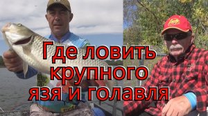 Константин Кузьмин. Где ловить крупного язя и голавля, 2024 год