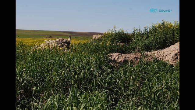 Урочище Каменодольск фильм третий ФОТОЭТЮД смотреть онлайн