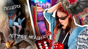 На меня налетела стая летучих мышей во Вьетнаме! 😱