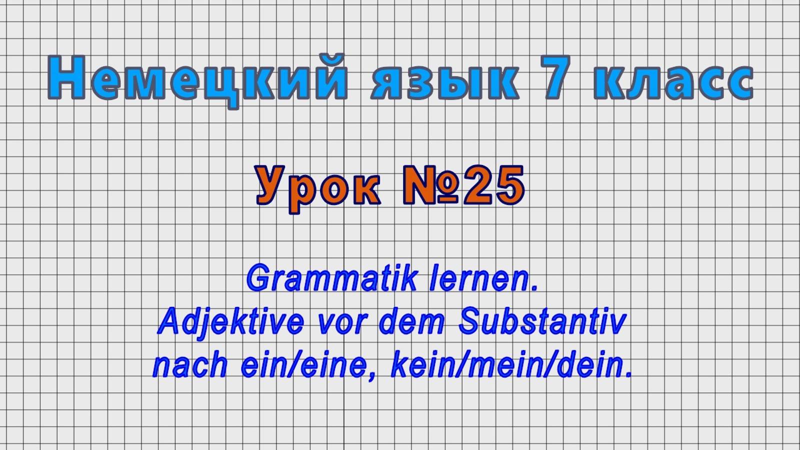 Немецкий язык 7 класс (Урок№25 - Adjektive vor dem Substantiv nach ein/eine, kein/mein/dein.) смотреть онлайн