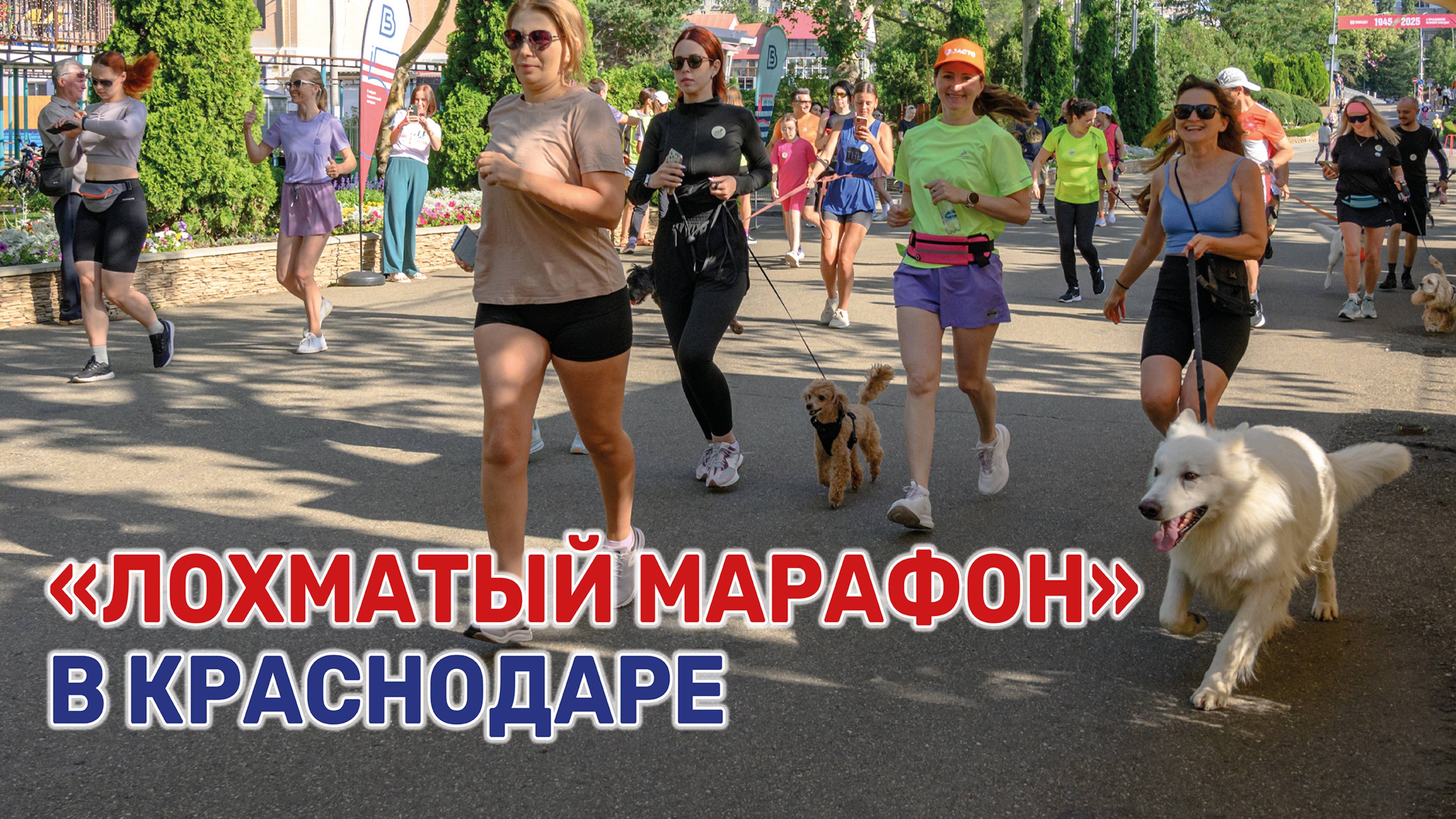 Благотворительный забег в поддержку приюта для бездомных животных провели в Краснодаре смотреть онлайн