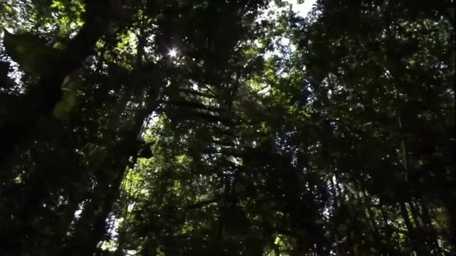 0000000000013 смотреть онлайн