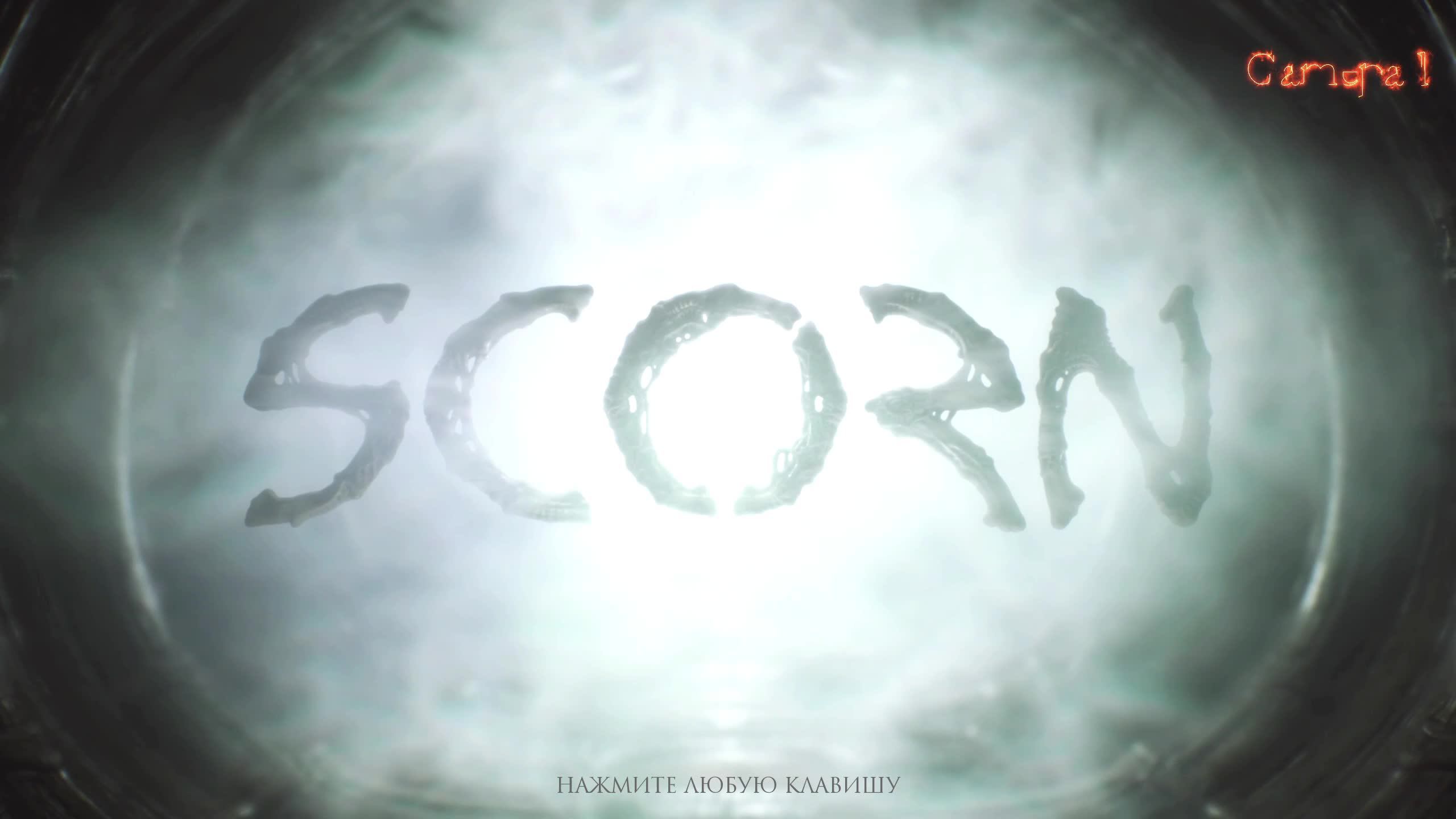 Scorn