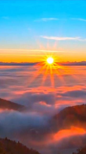 Хайпнутый - Алый рассвет #2025 #remix #песня #song #мем #dance #sunset #красота #song #songs смотреть онлайн