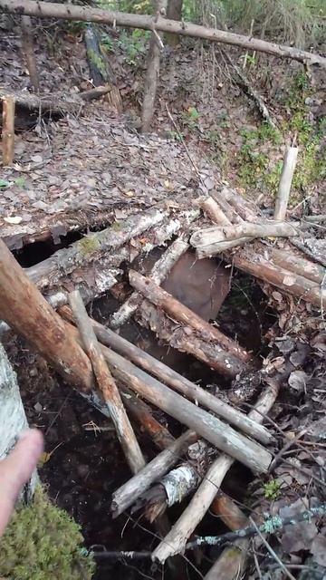 Что это могло быть? Землянка иди привада на медведя? смотреть онлайн