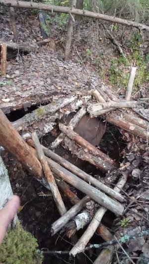 Что это могло быть? Землянка иди привада на медведя?