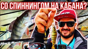 Со спиннингом на Кабана? Джиг-риг, микроджиг или мормышинг?