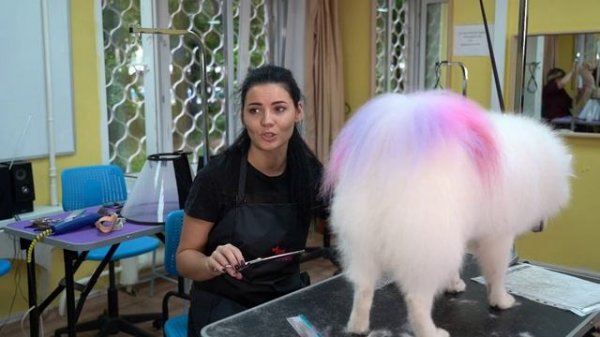 Груминг зоомагазин