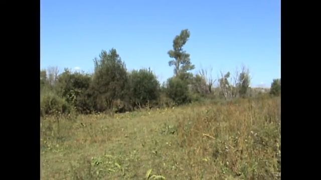 История № 13 смотреть онлайн