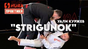 Уали Куржев - бросок  стригунок