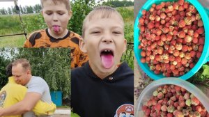 Жизнь в деревне 🏡//  поспела вишня 🍒/(собираю ягоды //продаю на трассе 🍓🍓🍓//