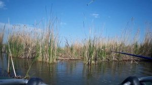 Рыбалка с лодки на поплавок в камышах весной 2022! Ловля карася на поплавок с мормышкой!