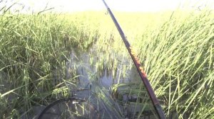 50 кг рыбы на удочку Sagirra. Анонс испытания удочки.