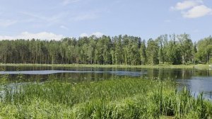 Вырица, пляж Шудибиль