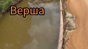 ПРОВЕРКА ВЕРШИ НА РЕКЕ .