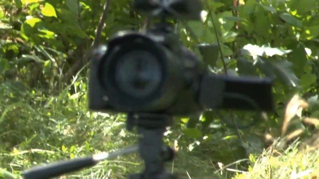 ОДИНОЧКА 2024 07 PANASONIC end NIKON смотреть онлайн